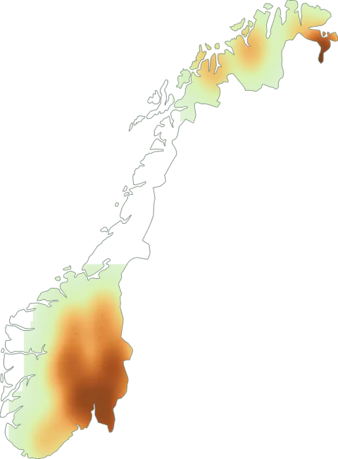 Kart over registrerte observasjoner av kransmusserong i Norge.